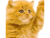 Beth Bock - @candledragon - Twitter