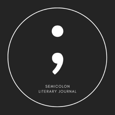 semicolonlit Profile Picture