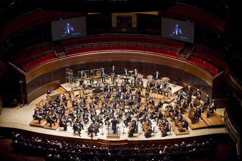 OSADevo's profile picture. 