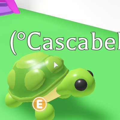 Sofi Roblox U3u Adoptsofi Twitter - twitter turtle for this guy named soybeen roblox Sofi Roblox U3u Adoptsofi Twitter - turtle for this guy named soybeen roblox