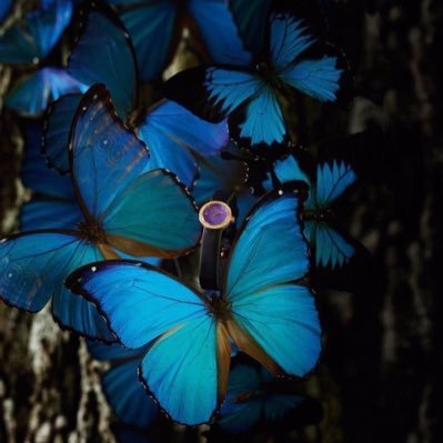 hope_hk6's profile picture. سعادتٌنا العارِمة هي أن نّطمئن 🤍.   ‏{ قَدْ جَعَلَ اللَّهُ لِكُلِّ شَيْءٍ قَدْرًا} 🌿.