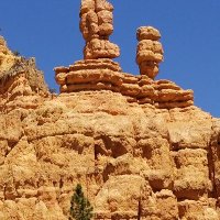 RWC (@dirich1955) 's Twitter Profile Photo