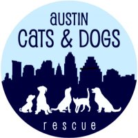 Austin Cats & Dogs Rescue(@atxcatdogrescue) 's Twitter Profile Photo