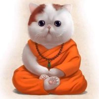 उड़ता तीर (@kd_the_warrior) 's Twitter Profile