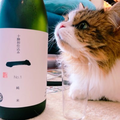 新しい日本酒メディア【ねこと日本酒🐈🍶】

「美味しくお酒を飲むサイト」をコンセプトに、唎酒師の資格を取得した
「なかのひと」が気になる日本酒を「実際に飲んで」伝えます。
※只今サイトの更新停止中🥺

インスタ▼▼
https://t.co/pbr5EjTHw9