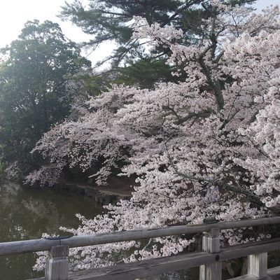 45ymk8's profile picture. 情報収集・取引用アカウント｜成人済｜検索からもお気軽にお声がけください！