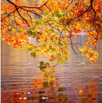 sonbaha95874402's profile picture. 