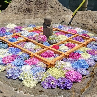 haru_5342751's profile picture. 