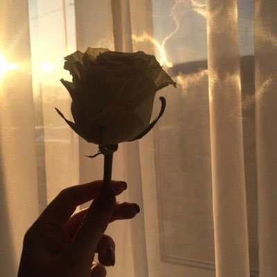 اللهم كما أكرمتنا و رزقتنا نسبًا إلى أشرف خلقك فلا تحرمنا شفاعة منه يارب العالمين | ربي أجمعني بِـ أبي يوم يلتمّ الأحباب على بابك.