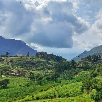 SalehFadhly's profile picture. الحمد لله