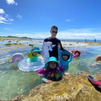 Vanson Liu (@liuvanson) 's Twitter Profile