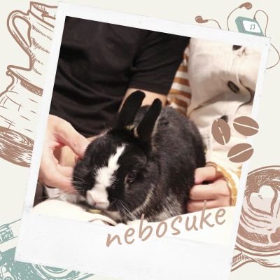 nebosuke912's profile picture. 