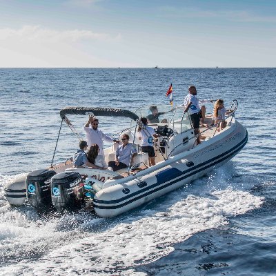 🐳 Tenerife Whale Watching | 🐠 Also Dive & Learn
🌿 Sustainable Tourism
⬇️BOOK NOW⬇️