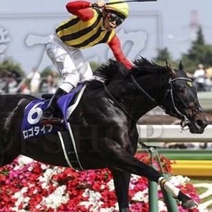 ロゴタイプ大好きなオッサンさんのプロフィール画像