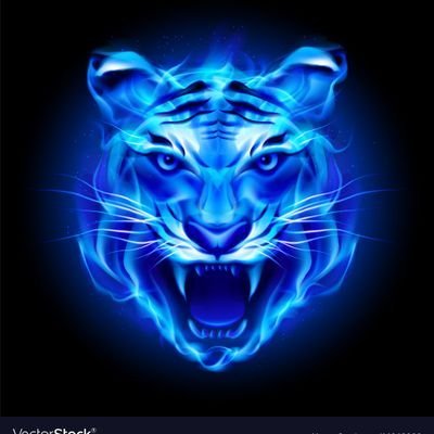 grace_895_'s profile picture. express yourself don't repress yourself 🖤
|19|