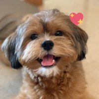 Flash Ratnani (@flashratnani) 's Twitter Profile