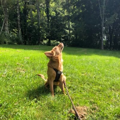 faith96416188's profile picture. 