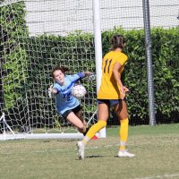 Tim Meyers (@tmeyers55) 's Twitter Profile Photo