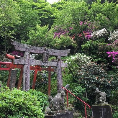 JjIHBTTniH54EFm's profile picture. 宮司ではなくプロジェクト中の人。
「ことだまいり」受付はこちらからhttps://t.co/w7EO7890oS
「書のかたち」はあなたの願いを書家さんが書にしたため宮司が奉納。
「遊びのかたち」はスマホアプリから願いを飛ばす楽しいご祈願。
「文のかたち」は願いを吉兆を呼ぶ五色雲紙に出力し宮司が読みあげ奉納→無事終了