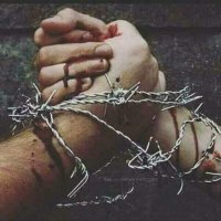 نوارس الحسني (@2jmb00r5l68q45c) 's Twitter Profile