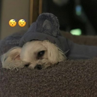 meeeeeeeechin's profile picture. 