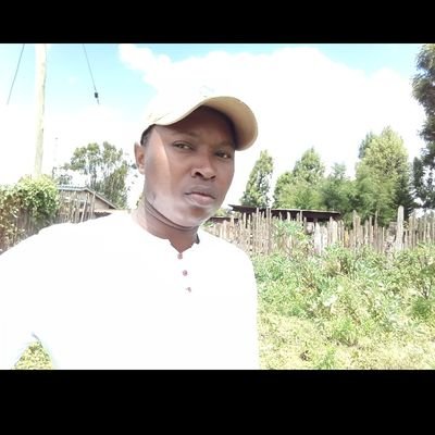 berniewambu's profile picture. Awesomeness.
