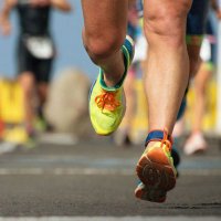 La Libreta del Triatleta (@libretadel) 's Twitter Profile