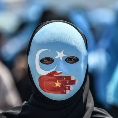 60quinze's profile picture. 🇩🇿 🇵🇸