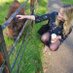 Emma Malcomson (@emmalily26) Twitter profile photo Emma Malcomson (@emmalily26) Twitter profile photo