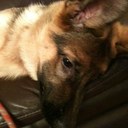 nina wellen - @jazztheme - Twitter