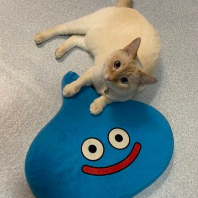 ⬛ファミコン専用ソフト⭐トップマネジメント⭐激レア商品になっております‼★*＊♪ Amazon.co.jp: ファミコン トップマネジメント : ゲーム