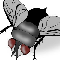 Electric Fly Swatter (@theflyswatter) Twitter profile photo