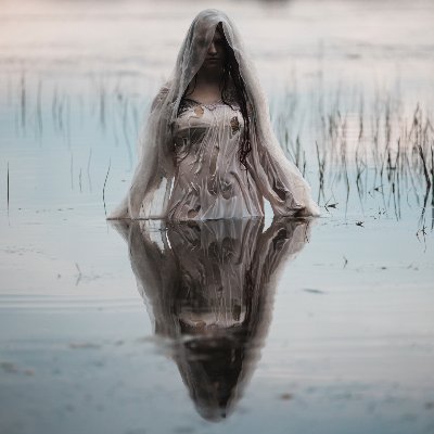 Mostly here to see sharks and read lord of the rings jokes. she/her