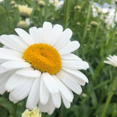 bjay_son's profile picture. Be Excellent To Each Other.