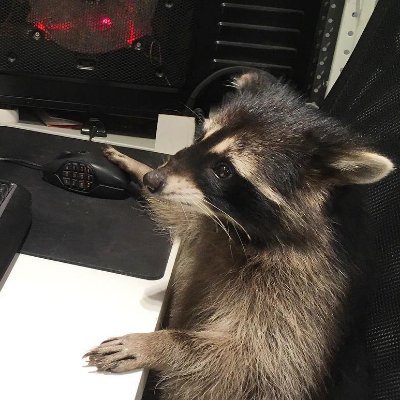 StarryNiteGames's profile picture. A one raccoon game studio

Banner photo credit: Ryan Hutton