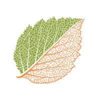 Fort Worth Botanic Garden(@fwbotanicgarden) 's Twitter Profile Photo