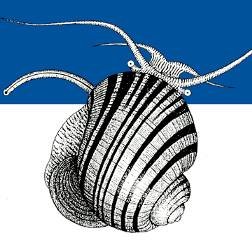 Official Twitter account of the Malacological Society of London, Est. 1893 and dedicated to the advancement of research & education on molluscs 🐌🦑