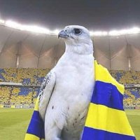 غريب الدار (@ib7_c) 's Twitter Profile Photo