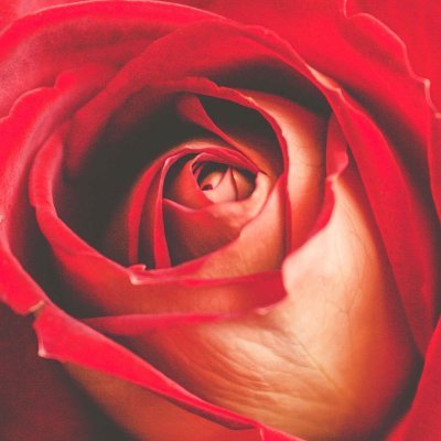 ジビエさんのプロフィール画像
