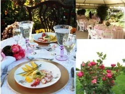 ChefHamptons's profile picture. My name is Susan Palmer and I am your Personal or Private Chef in The Hamptons.  I also cater parties - whatever the size, and much more.  Contact me today!