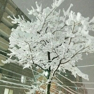 kazu_year's profile picture. よろしくお願いいたします。