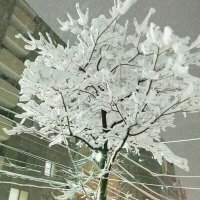 kazu☆ (@kazu_year) Twitter profile photo