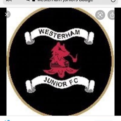 Westerham Junior u13s for season 2020/2021