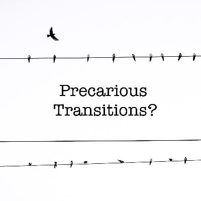 The account of the 'Precarious transitions? Doctoral students negotiating the shift to academic positions' research team. Funded by British Academy/Leverhulme.