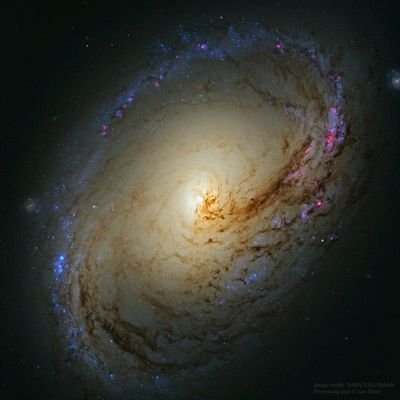 Mikolaj70932642's profile picture. 