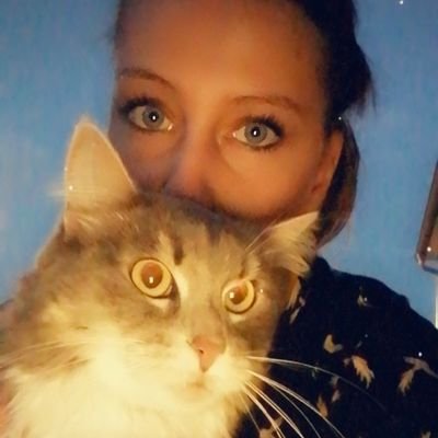 laurinemartin25's profile picture. 10/11/16 ♥️
Orlaya 😻
Niki 🐎❣️