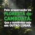 SOS Floresta do Camboatá oficial. (@sosfloresta) Twitter profile photo