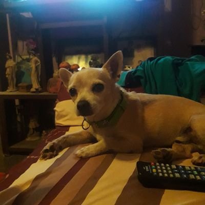 MARCOSMAZAP1's profile picture. u7ufurj8yt7j