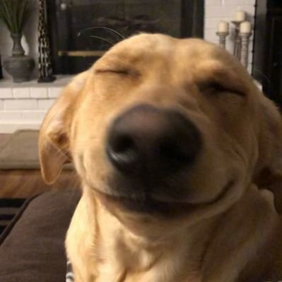 lovetruthonor's profile picture. 