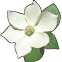 Board Voice Society (@boardvoicebc) 's Twitter Profile